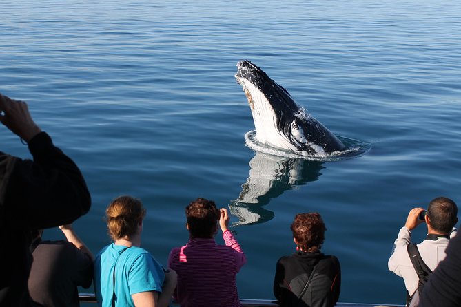 Spirit of Hervey Bay Whale Watching Cruise - What the crew adds to the experience