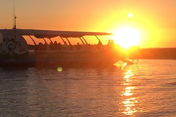 Spirit of Hervey Bay Whale Watching Cruise - Who will enjoy this cruise most