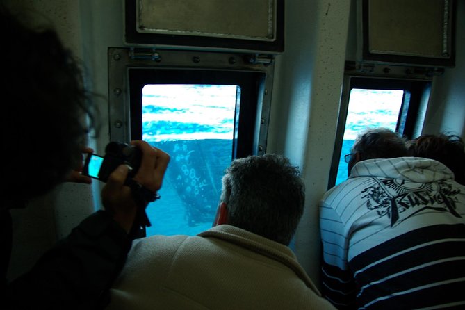 Spirit of Hervey Bay Whale Watching Cruise - Timing, weather, and cancellation details