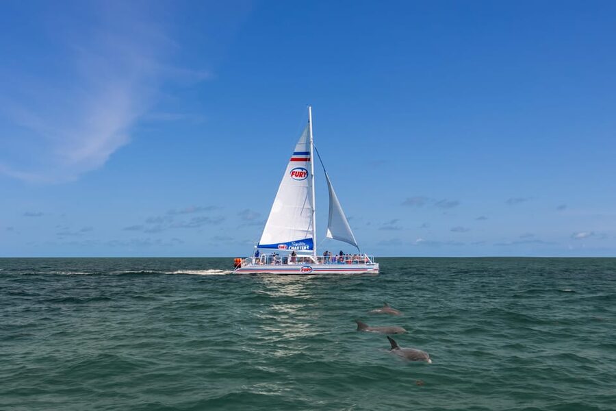 St. Augustine: Dolphin Watching Harbor Tour with Drinks - Should you book the St. Augustine dolphin cruise?