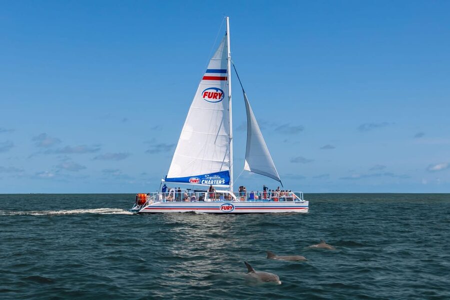 St. Augustine: Dolphin Watching Harbor Tour with Drinks - Dolphin watching without a staged show