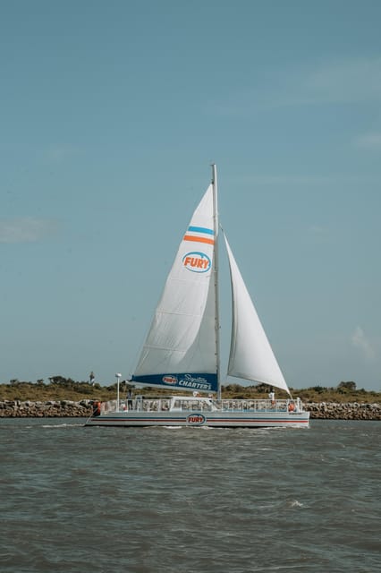 St. Augustine: Dolphin Watching Harbor Tour with Drinks - City views from the water