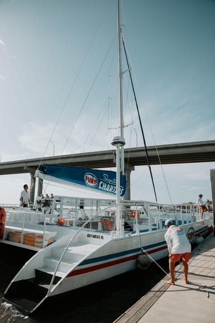 St. Augustine: Dolphin Watching Harbor Tour with Drinks - Drinks, snacks, and the social side of the trip