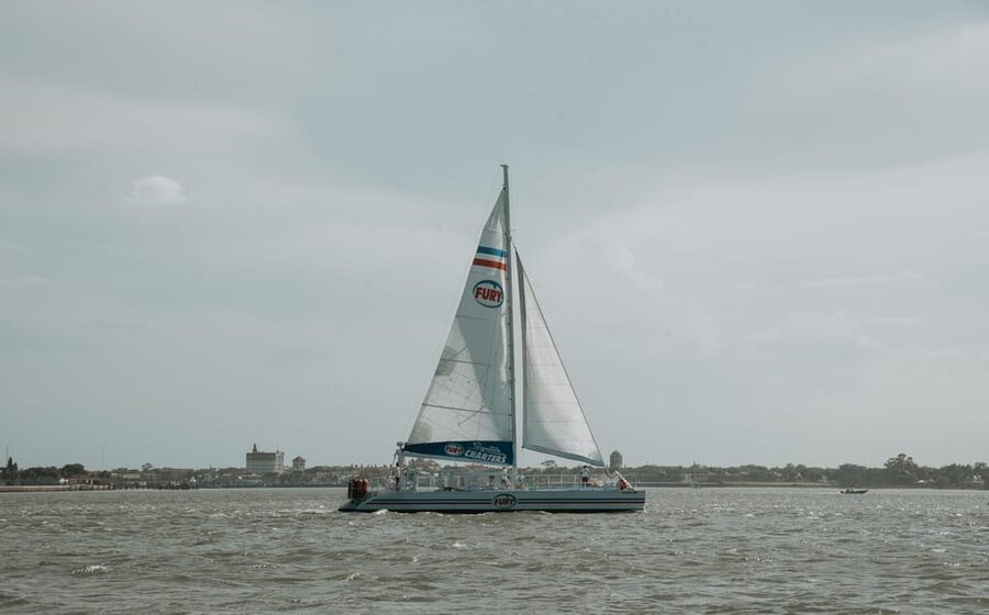 St. Augustine: Dolphin Watching Harbor Tour with Drinks - Who will enjoy this cruise most?