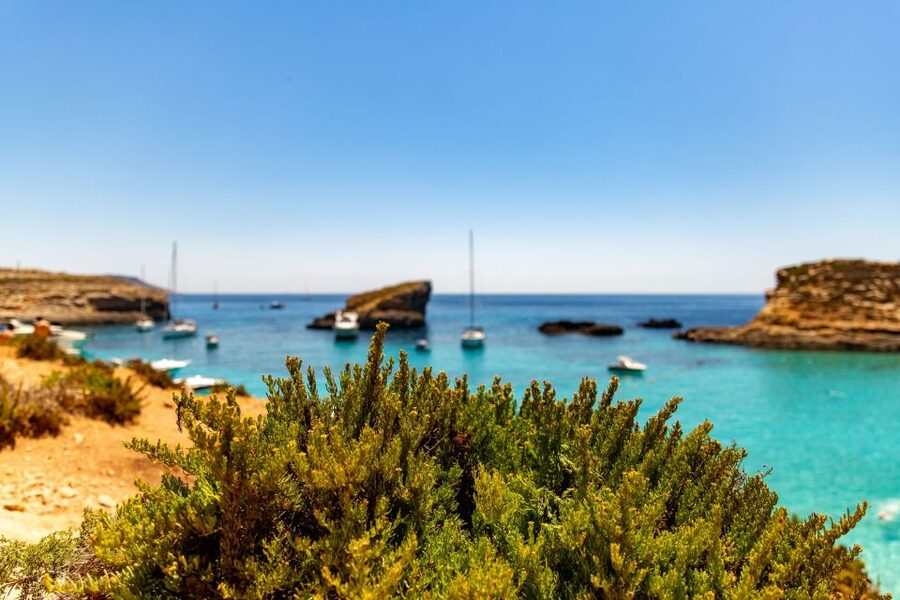 St Paul's Bay: Comino, Blue Lagoon, Gozo, & Caves Boat Tour - Two hours on Gozo, with a choice to stay local