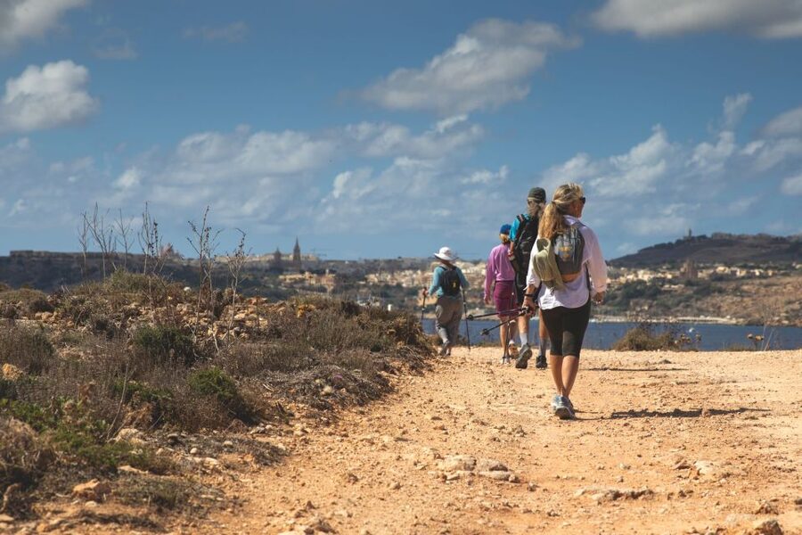 St. Paul's Bay: Gozo, Comino & St. Paul's Bus & Boat Tour - What the smaller boat changes