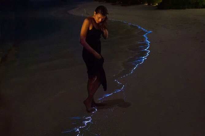 Sunset and Plankton Bioluminescent Night Kayak Lan Ha Bay - Key points to know before you book