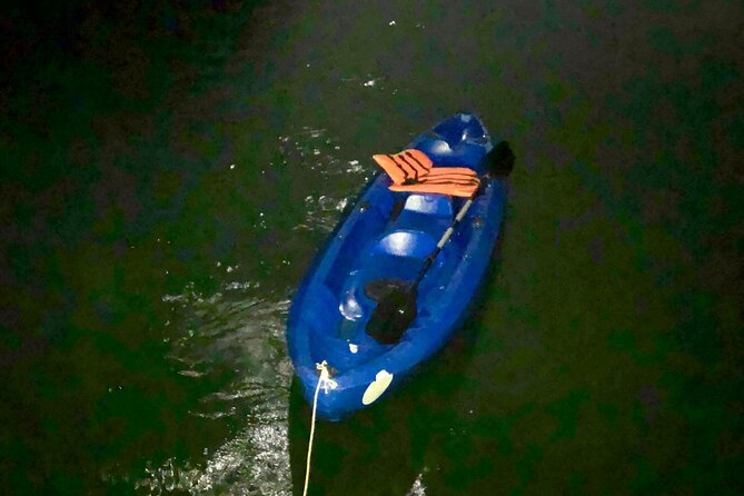 Sunset & Bioluminescent Plankton Kayaking Lan Ha bay - From Cat Ba to Cai Beo floating village