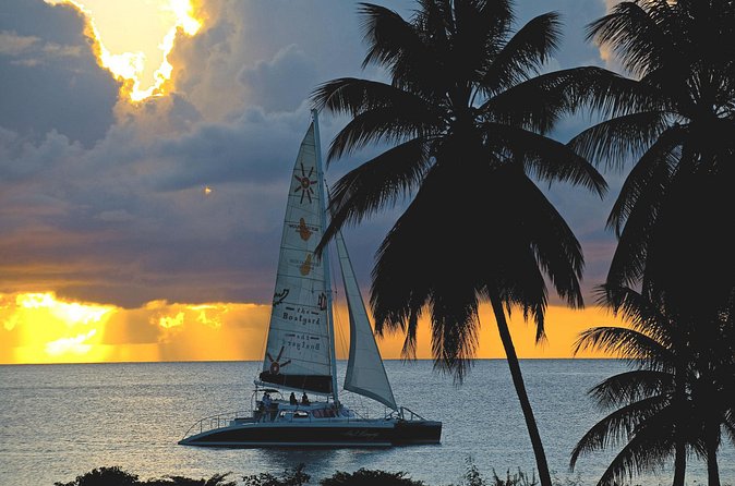 Sunset Catamaran and Snorkeling Cruise At Carlisle Bay - Is the $124.33 price fair?