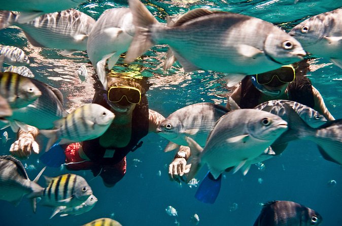 Sunset Catamaran and Snorkeling Cruise At Carlisle Bay - Weather, cancellations, and practical planning