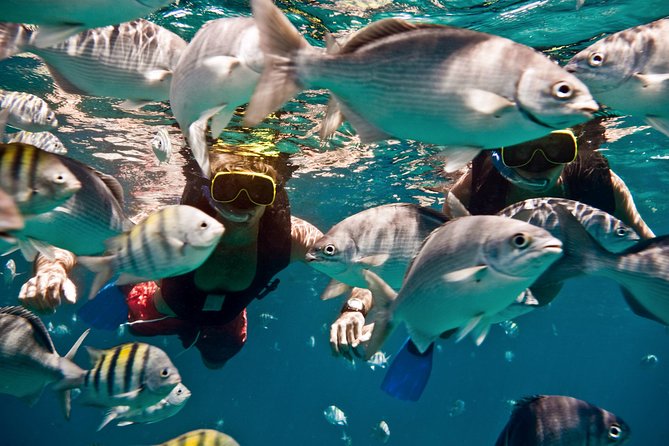 Sunset Catamaran and Snorkeling Cruise At Carlisle Bay - The secluded cay and its soft white beach