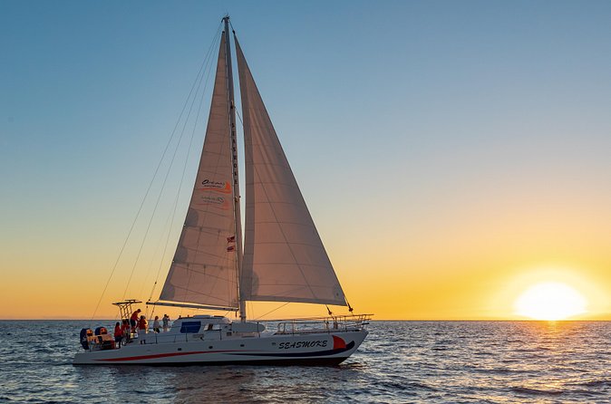 Sunset Cruise with the Whales on our Sailing Catamaran - Sailing, or motoring, during whale season