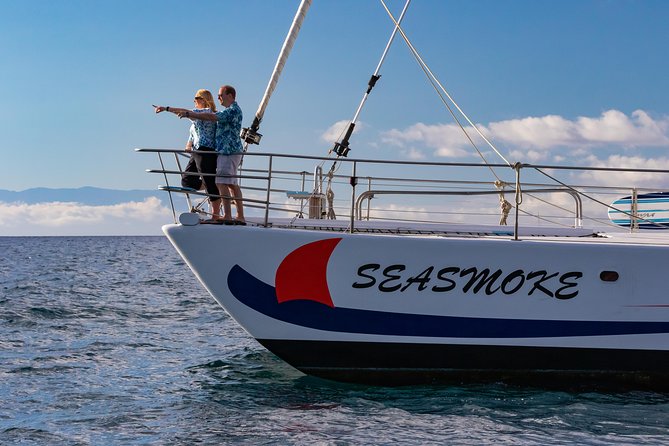 Sunset Cruise with the Whales on our Sailing Catamaran - How much value do you get for $165?