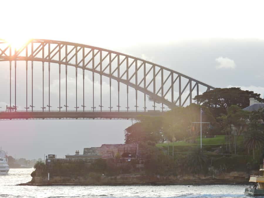 Sydney: Harbour Cruise with Buffet Lunch - Who will enjoy this cruise most
