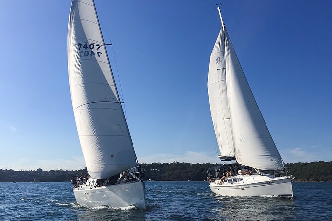Sydney Harbour Sailing Experience - What the Small Yacht Changes