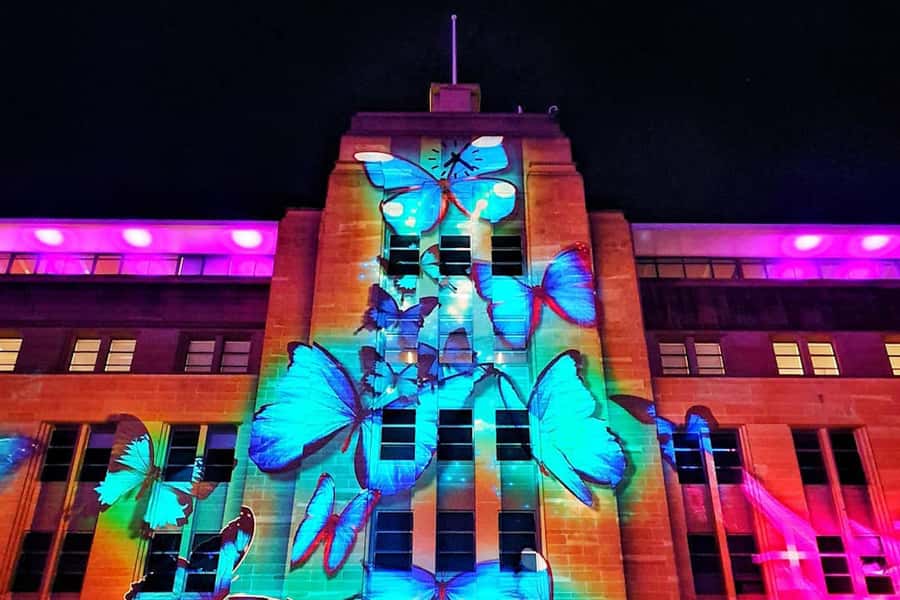 Sydney: Intimate Vivid Harbour Cruise with Canapes - Booking details worth knowing
