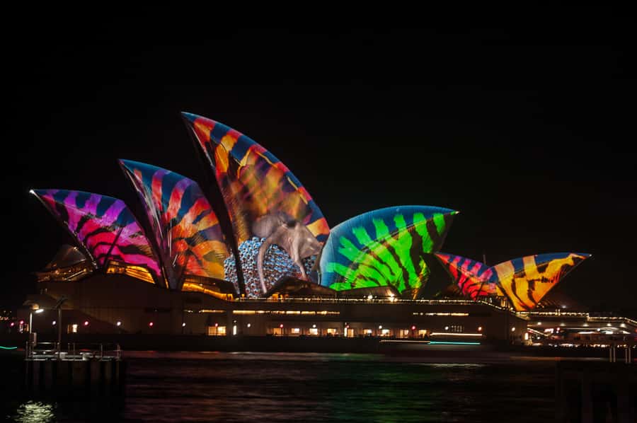 Sydney: Vivid Festival of Light Harbor Cruise with Dinner - From King Street Wharf 6 to the first harbor views