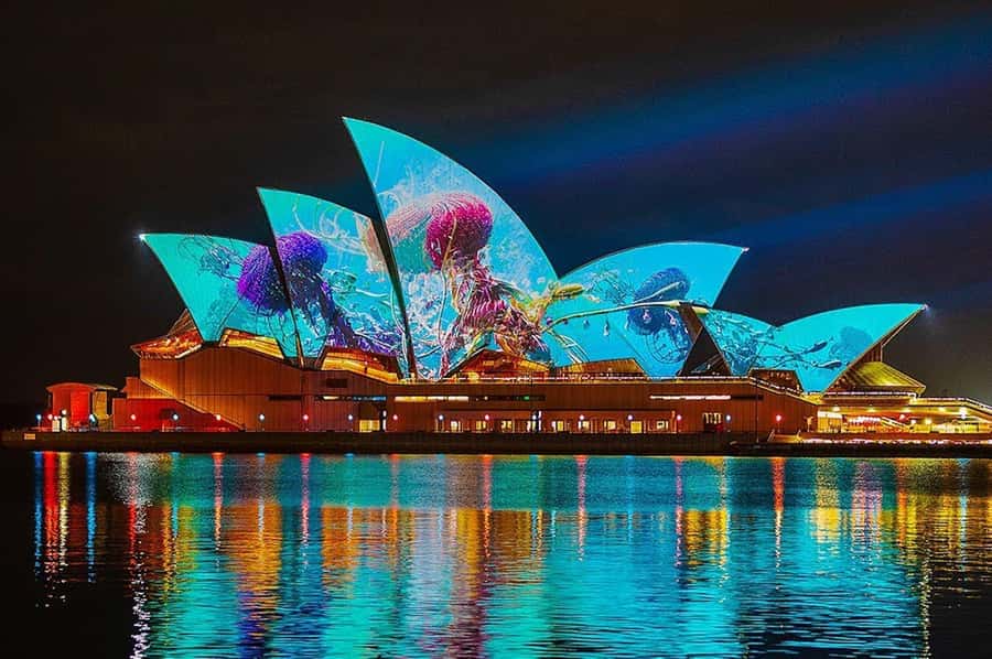 Sydney: Vivid Harbour Cruise with Canapes - Boarding at Pier 2 in Walsh Bay