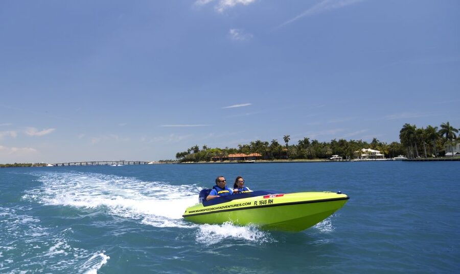 Tampa Bay 2-Hour Speedboat Adventure - Wildlife sightings and what to expect