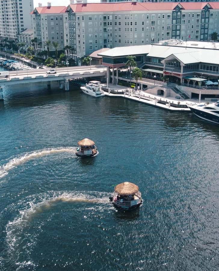 Tampa Bay: Downtown Tampa Tiki Cruise - Key points to know before you book