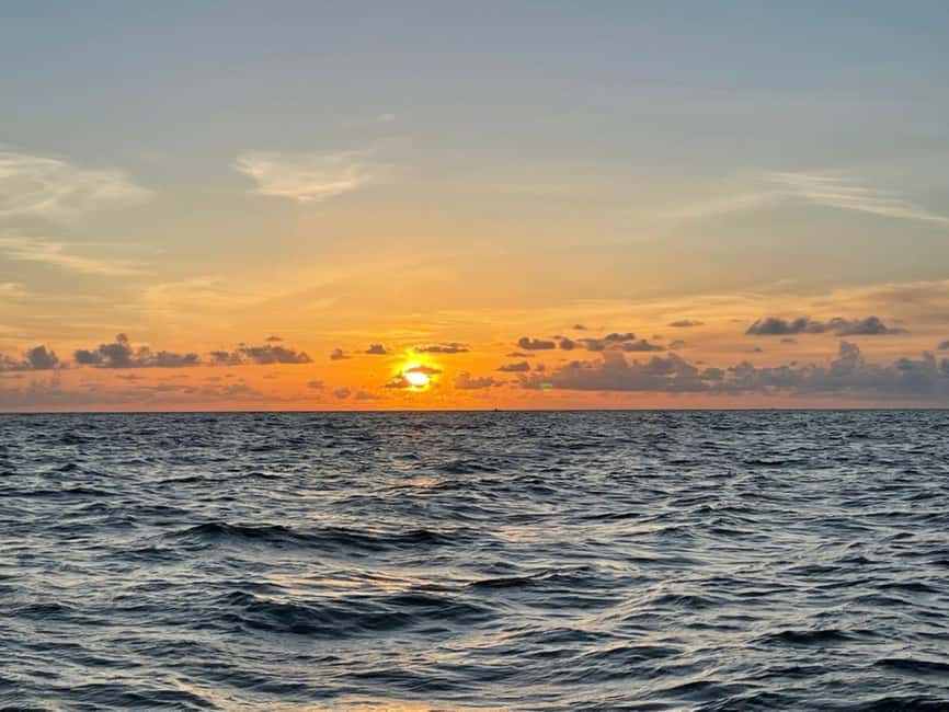 Tampa Bay: Sunset Cruise with Celebrity Homes and Wildlife - Starting among Florida’s intercoastal waterways