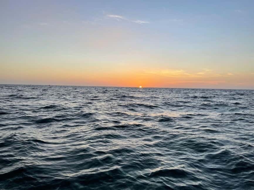 Tampa Bay: Sunset Cruise with Celebrity Homes and Wildlife - Looking for dolphins and other coastal wildlife