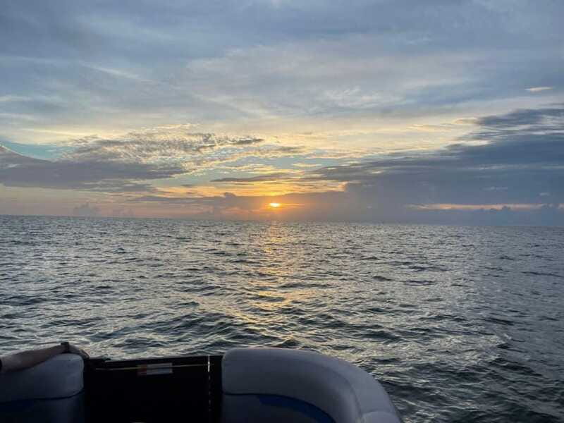 Tampa Bay: Sunset Cruise with Celebrity Homes and Wildlife - Timing and meeting details deserve extra care