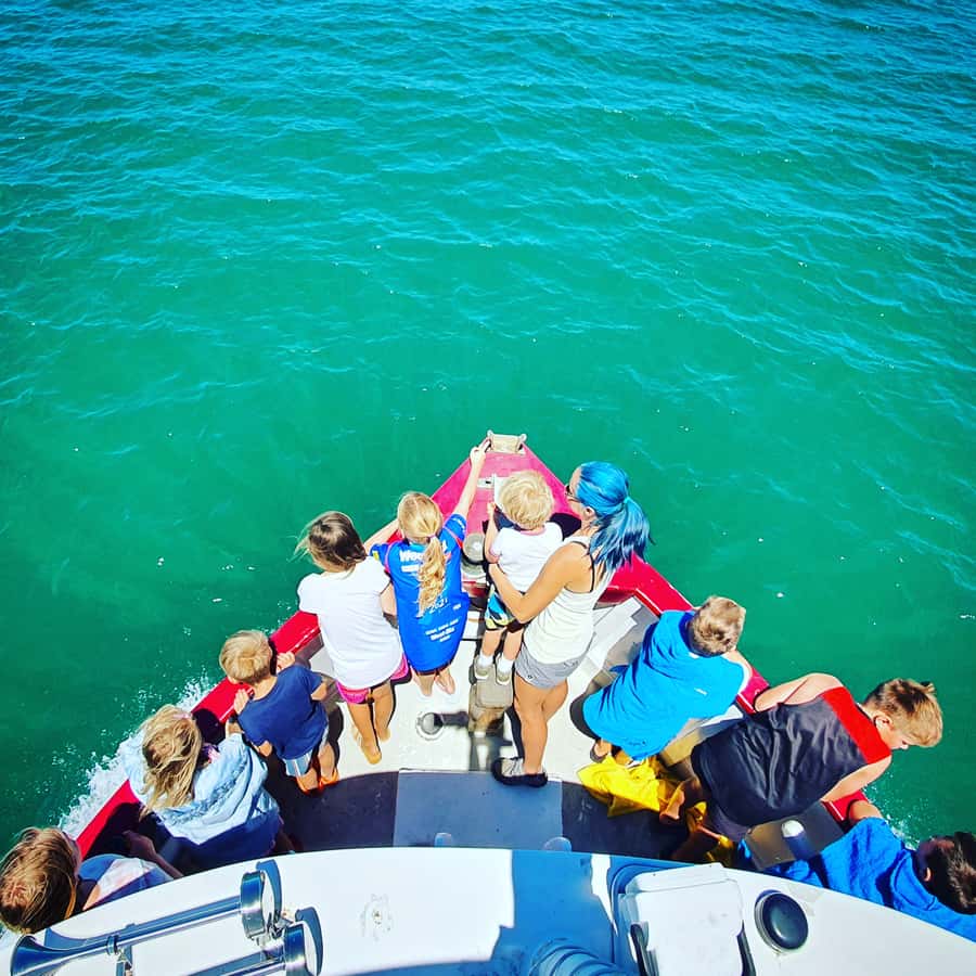 Tauranga: Mount Maunganui Harbour Sightseeing Cruise - From the waterfront to Mount Maunganui