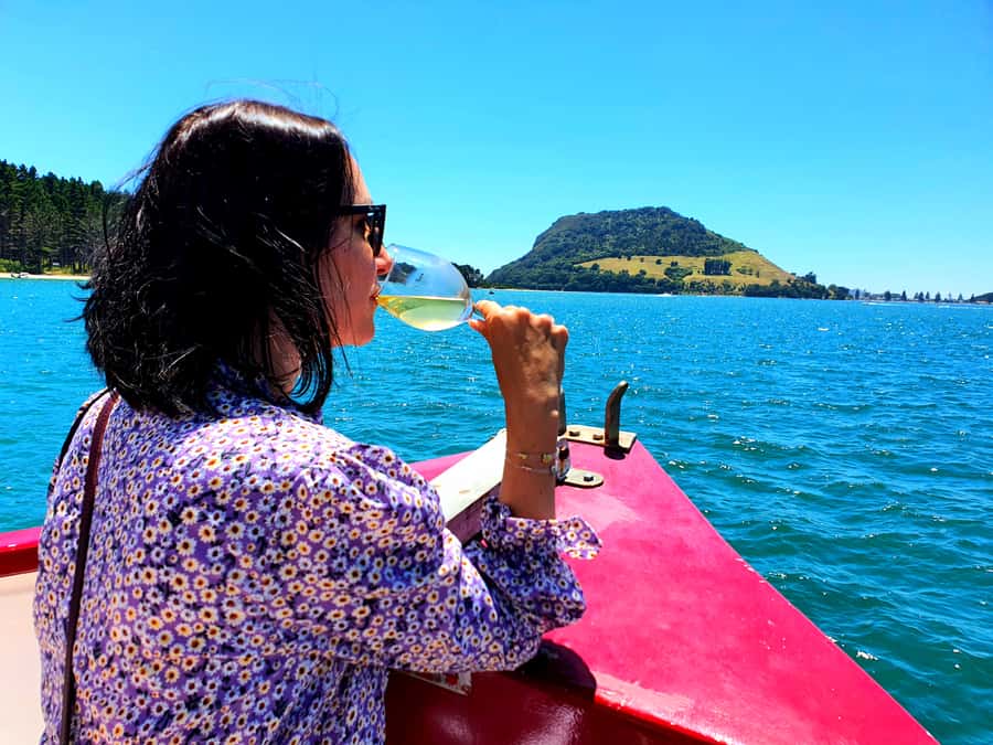 Tauranga: Mount Maunganui Harbour Sightseeing Cruise - Wildlife watching without false promises