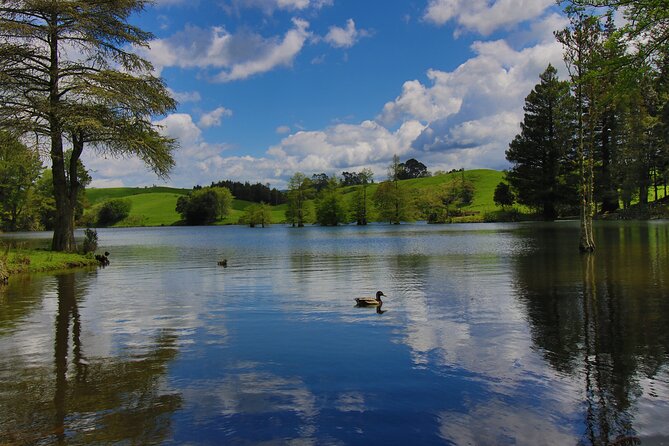 Tauranga Shore Excursion: Top Half Day Curated Highlights Tour - Key points at a glance
