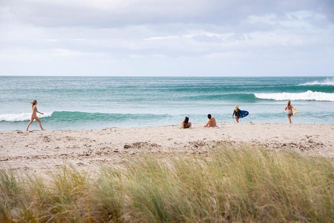 Tauranga Shore Excursion: Top Half Day Curated Highlights Tour - A well-paced way to see Tauranga from the port
