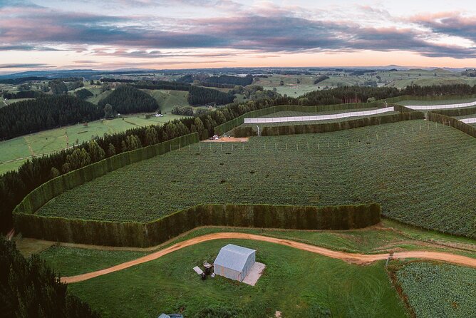 Tauranga Shore Excursion: Top Half Day Curated Highlights Tour - Te Puna and the kiwifruit country