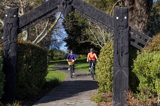 Tauranga Shore Excursion: Top Half Day Curated Highlights Tour - Minden Lookout and the Bay of Plenty view