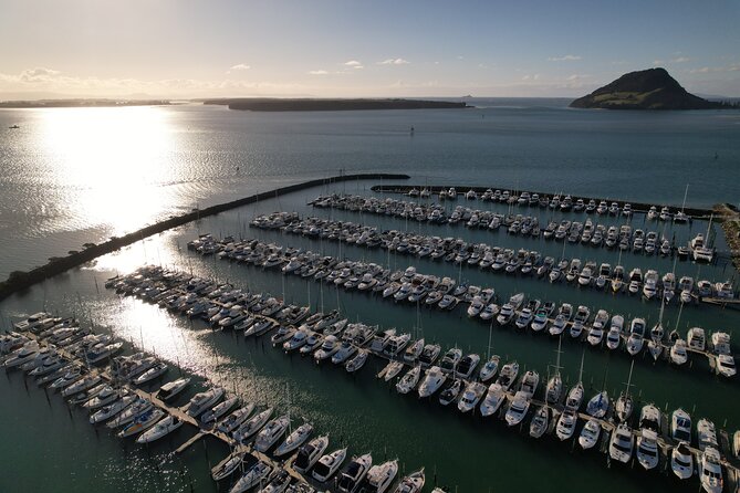 Tauranga Shore Excursion: Top Half Day Curated Highlights Tour - Returning by a different route, with ice cream