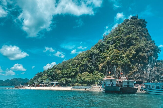 The Best Halong Bay Tours, Junk Boats & Activities 1 Day - Key points to know before booking
