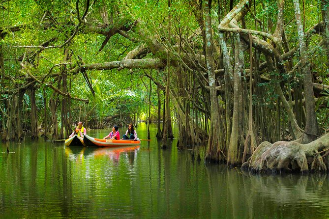 The Little Amazon and Sri Phang Nga Waterfall Full Day Tour From Khao Lak - Key points at a glance