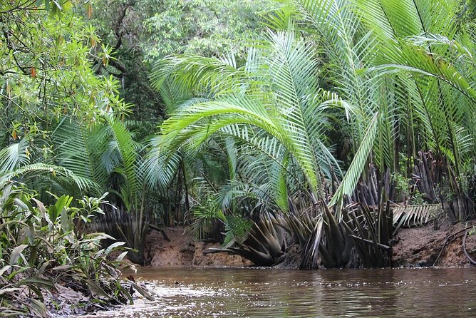 The Little Amazon and Sri Phang Nga Waterfall Full Day Tour From Khao Lak - Cooling off at Tam Nang waterfall
