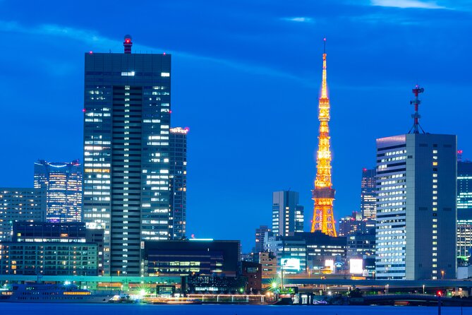 Tokyo Bay Yakatabune Dinner/Day Cruise with Japan Show and Drinks - Shamisen music and a friendly host