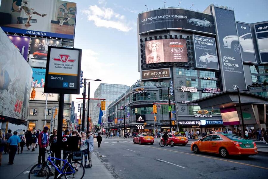 Toronto: Premium Driving Tour with Tower and Harbour Cruise - What the $138 price includes