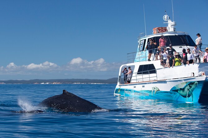 Twilight Bay Cruise in Hervey Bay - K’gari on the horizon