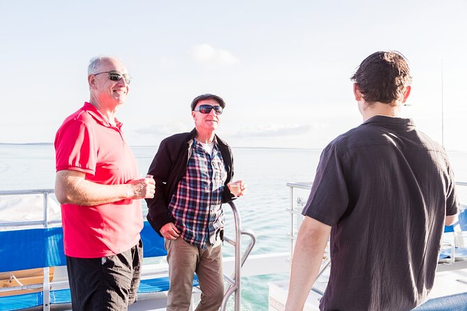 Twilight Bay Cruise in Hervey Bay - Dolphins, turtles, and dugongs are possible, not guaranteed