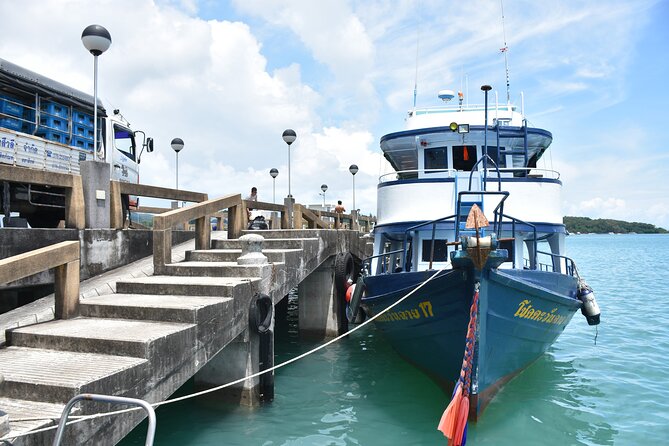 Twilight Sea Canoe Tour with Sea Cave Kayaking in Phang Nga Bay - Wildlife and the small details worth watching