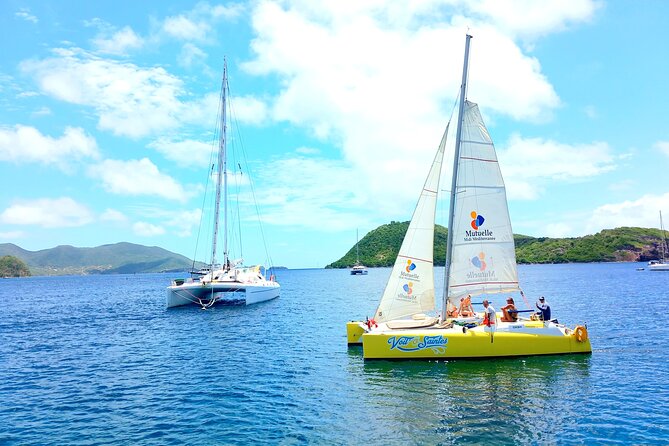 Two Hours of Sailing and Relaxation in the Bay of Saintes - Watching pelicans near Terre de Bas