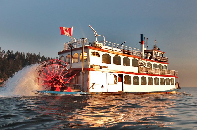 Vancouver Harbor Sightseeing Cruise - Drinks, snacks, and the one-hour pace