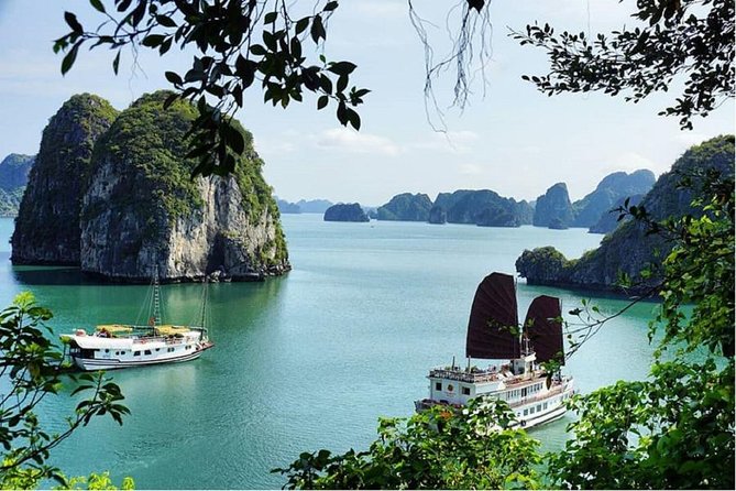 VIP Ha Long Bay 6 hour FUJI cruise with latest luxury cruise ship + limousine + highway + dinner for Japanese only - Sunset tea on the upper deck