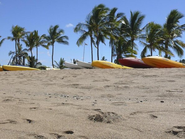 Wake Up With the Whales Cruise on Seasmoke - Key points to know before booking