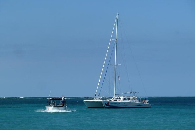 Wake Up With the Whales Cruise on Seasmoke - The hydrophone turns a sighting into a fuller experience