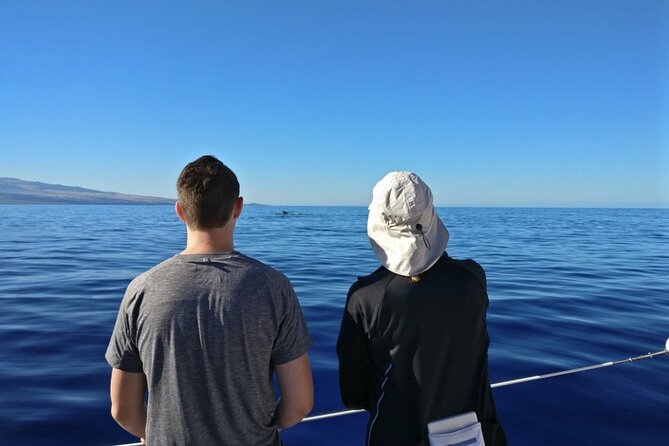 Wake Up With the Whales Cruise on Seasmoke - Beach boarding, comfort, and who should think twice