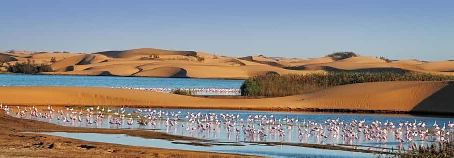 Walvis Bay and Sandwich Harbour Tour - The narrow passage and the first great dune views