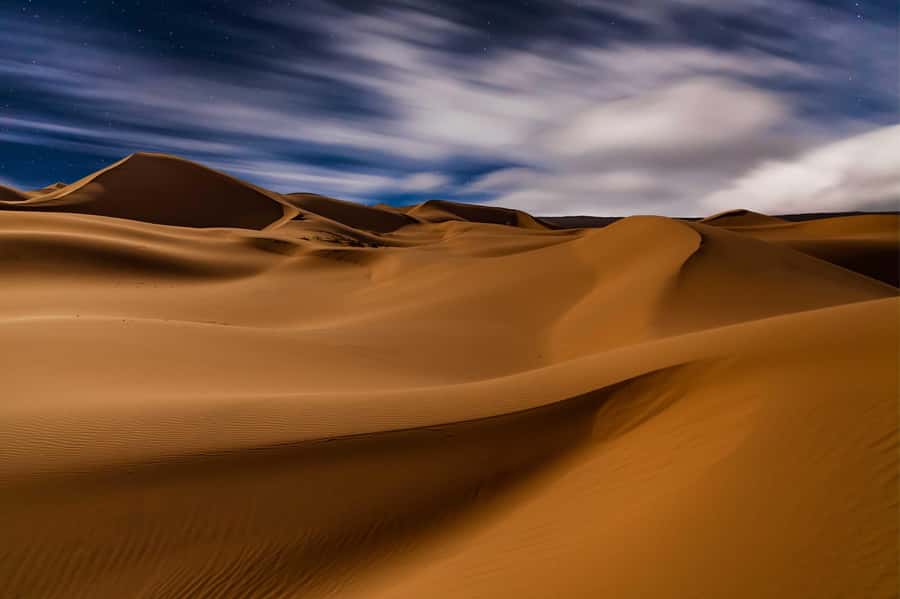 Walvis Bay and Sandwich Harbour Tour - Starting from Walvis Bay or Swakopmund